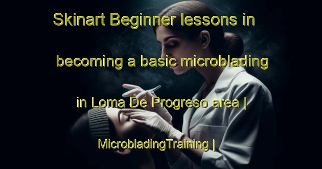 Skinart Beginner lessons in becoming a basic microblading in Loma De Progreso area | MicrobladingTraining | MicrobladingClasses | SkinartTraining-Mexico